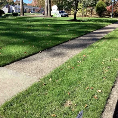 Green Lawns in Ocean Township, NJ with Lawn Care Services