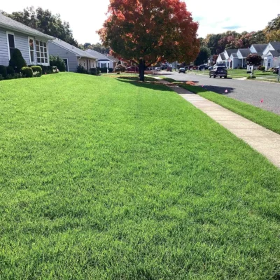 Ocean Township, NJ Lawn Care Company