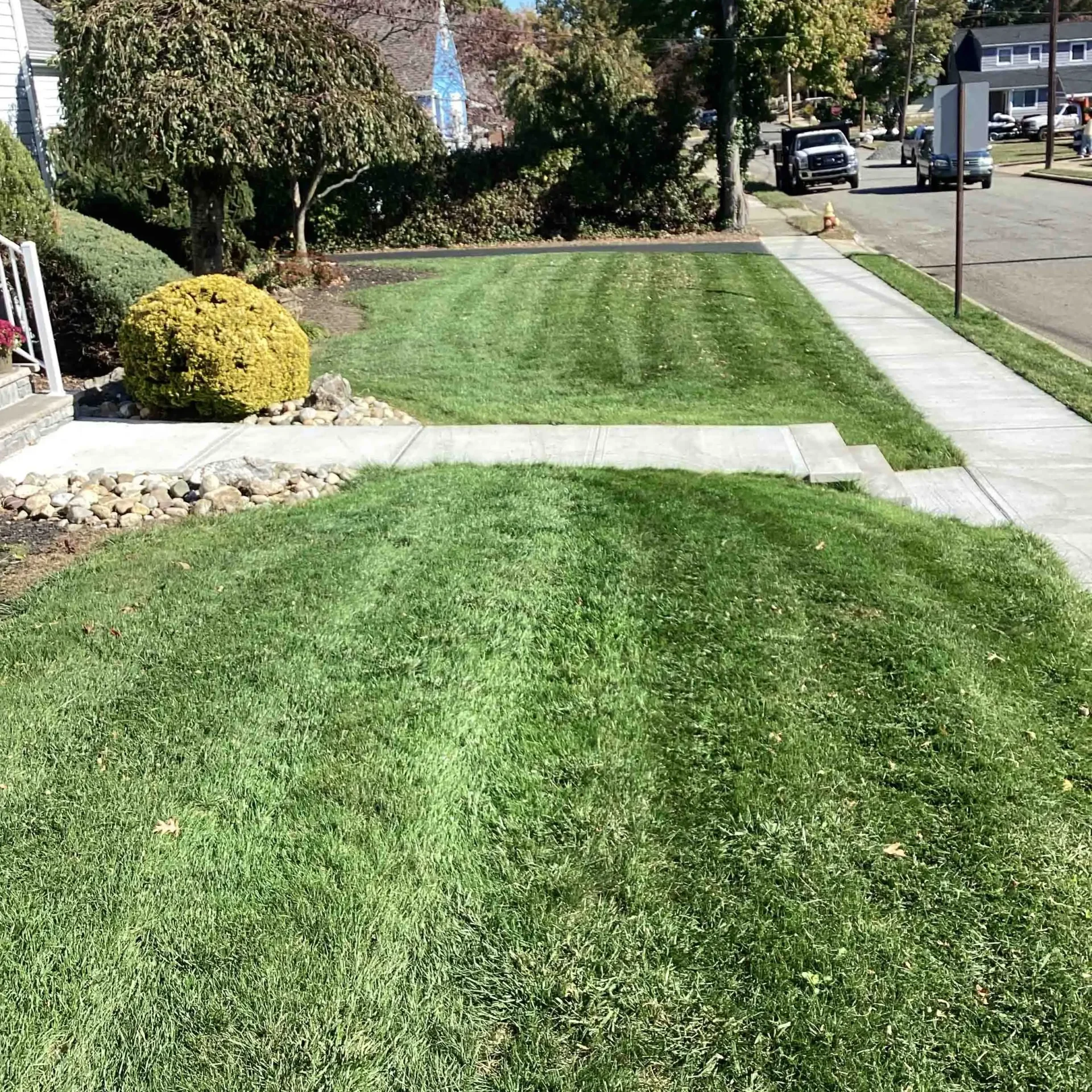 Lawn Care Services Freehold, NJ