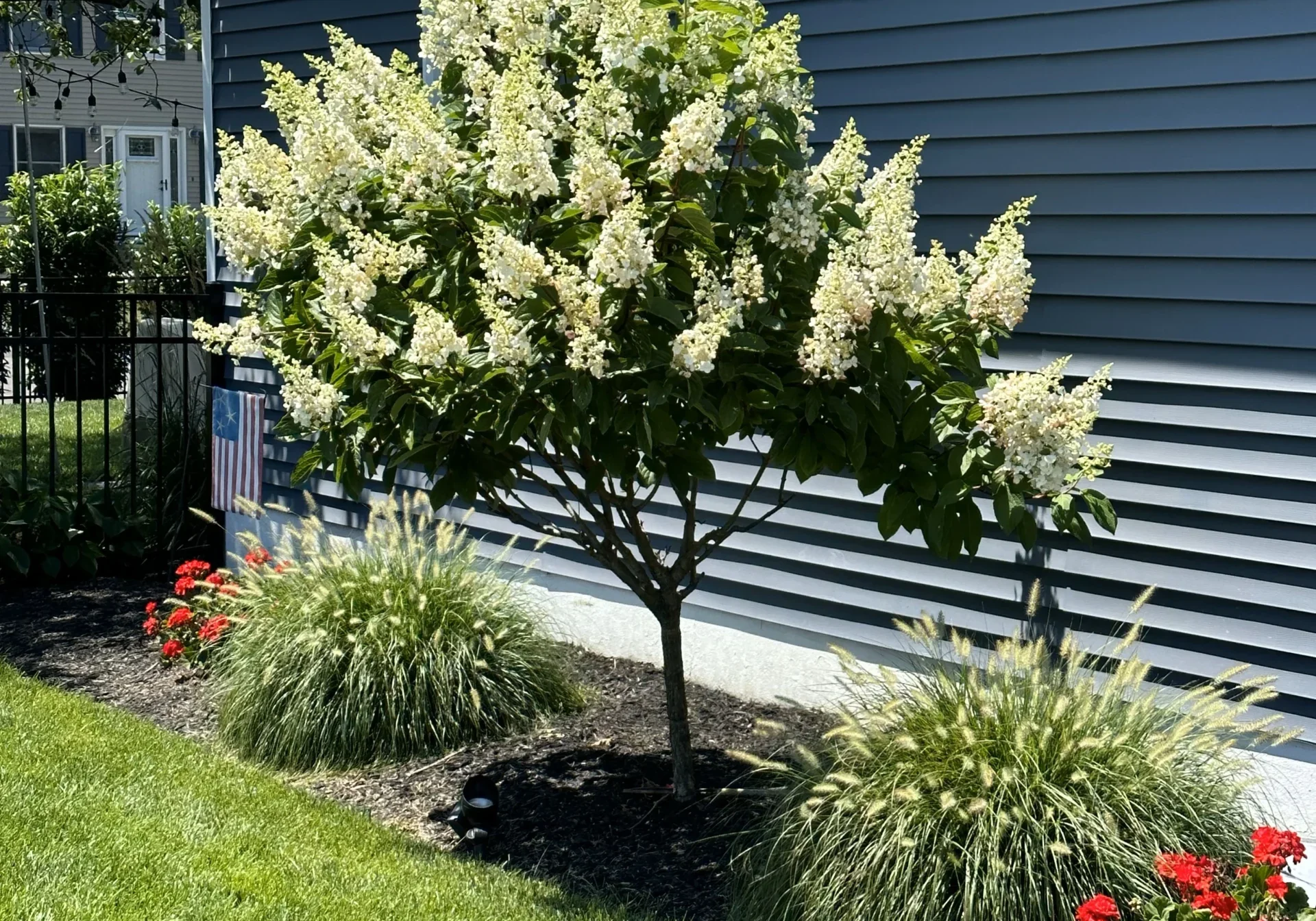 Ocean Township, NJ Garden Bed Maintenance Service