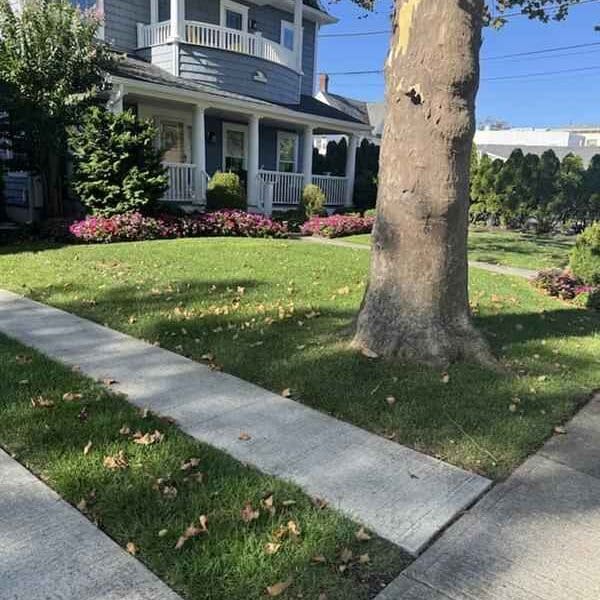 Spring Lake Nj Law Care Services