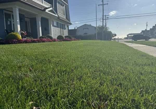 Spring Lake Nj Law Care2