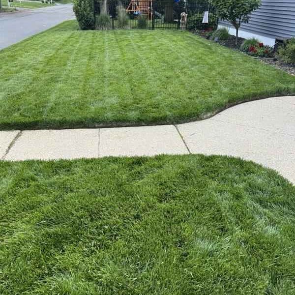 Lawn Care Services Freehold, NJ
