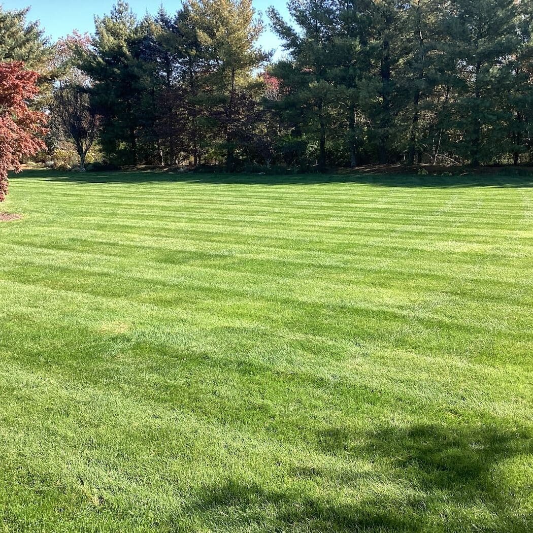 Brick Township Nj Lawn Care Services