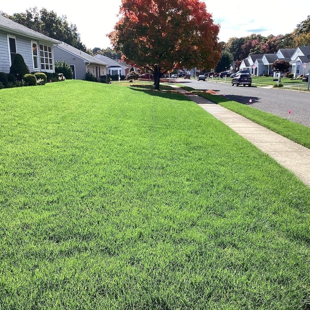Colts Neck Nj Lawn Care Services