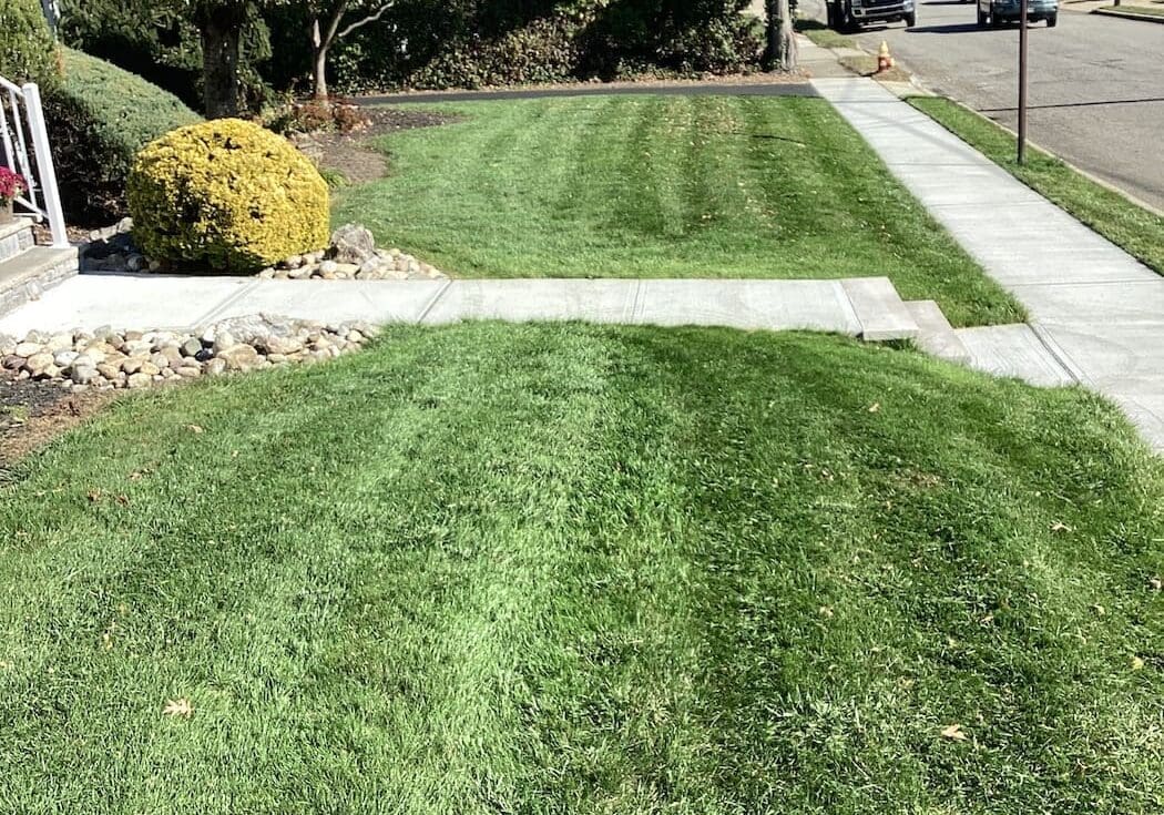 Colts Neck Nj Lawn Care2