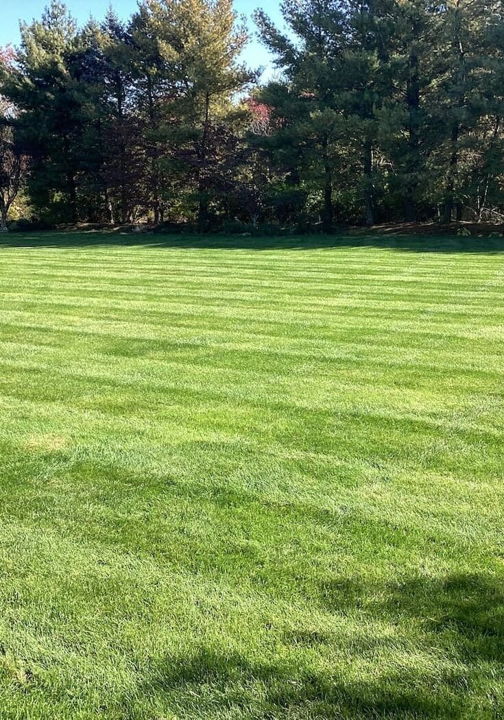 Holmdel Township Nj Lawn Care Services