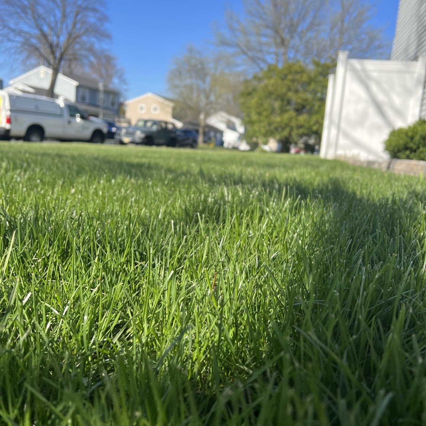 Mansquan Nj Lawn Care