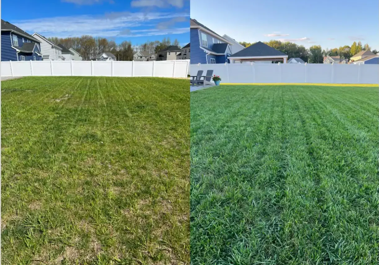Ocean Township Nj Lawn Aeration And Overseeding