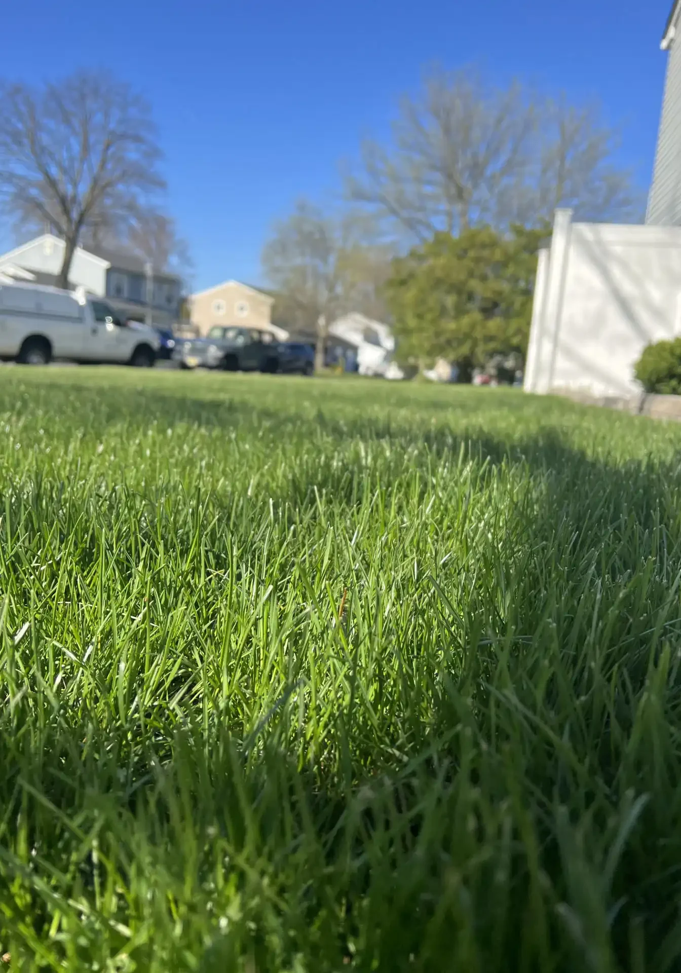 Ocean Township Nj Organic Tick Control 2