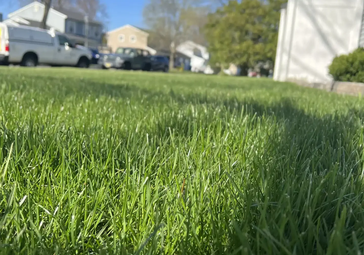 Lawn Care