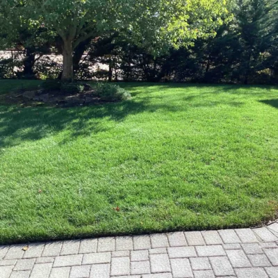 Ocean Township, NJ Lawn Care Company