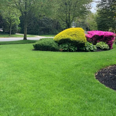 Ocean Township, NJ Leading Lawn Care Service Provider