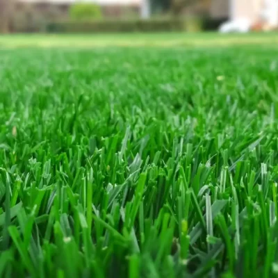 Rich Green Lawns for Ocean Township, NJ Lawn Care