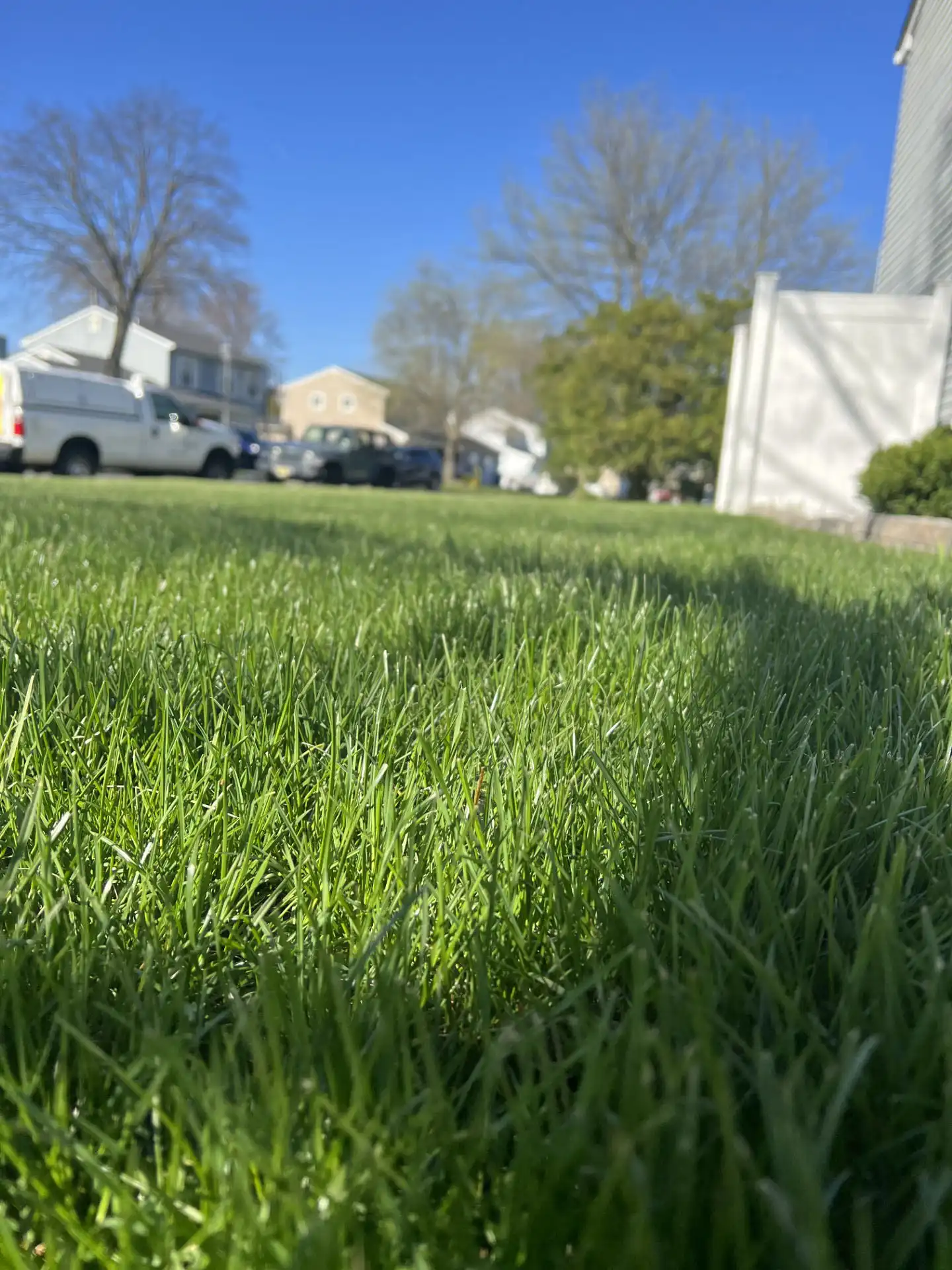 Lawn Care
