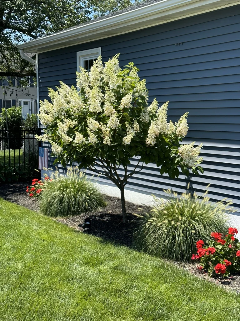 Ocean Township, NJ Garden Bed Maintenance Service