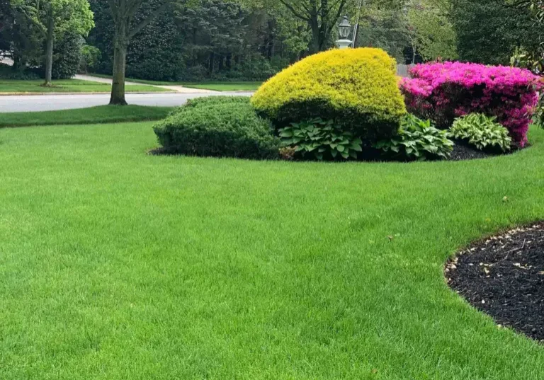 Fair Haven NJ Lawn Care