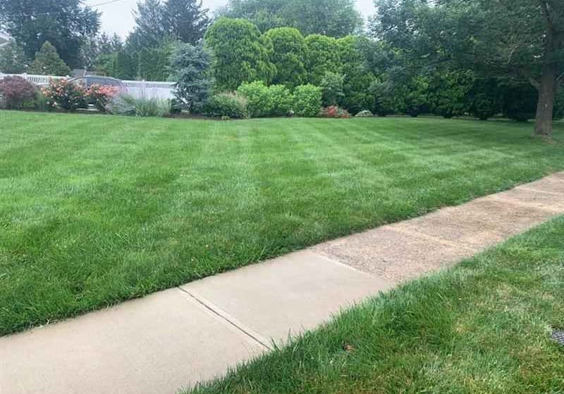 Lawn Care Company Freehold, NJ