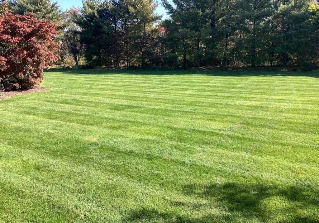 Howell NJ Lawn Care
