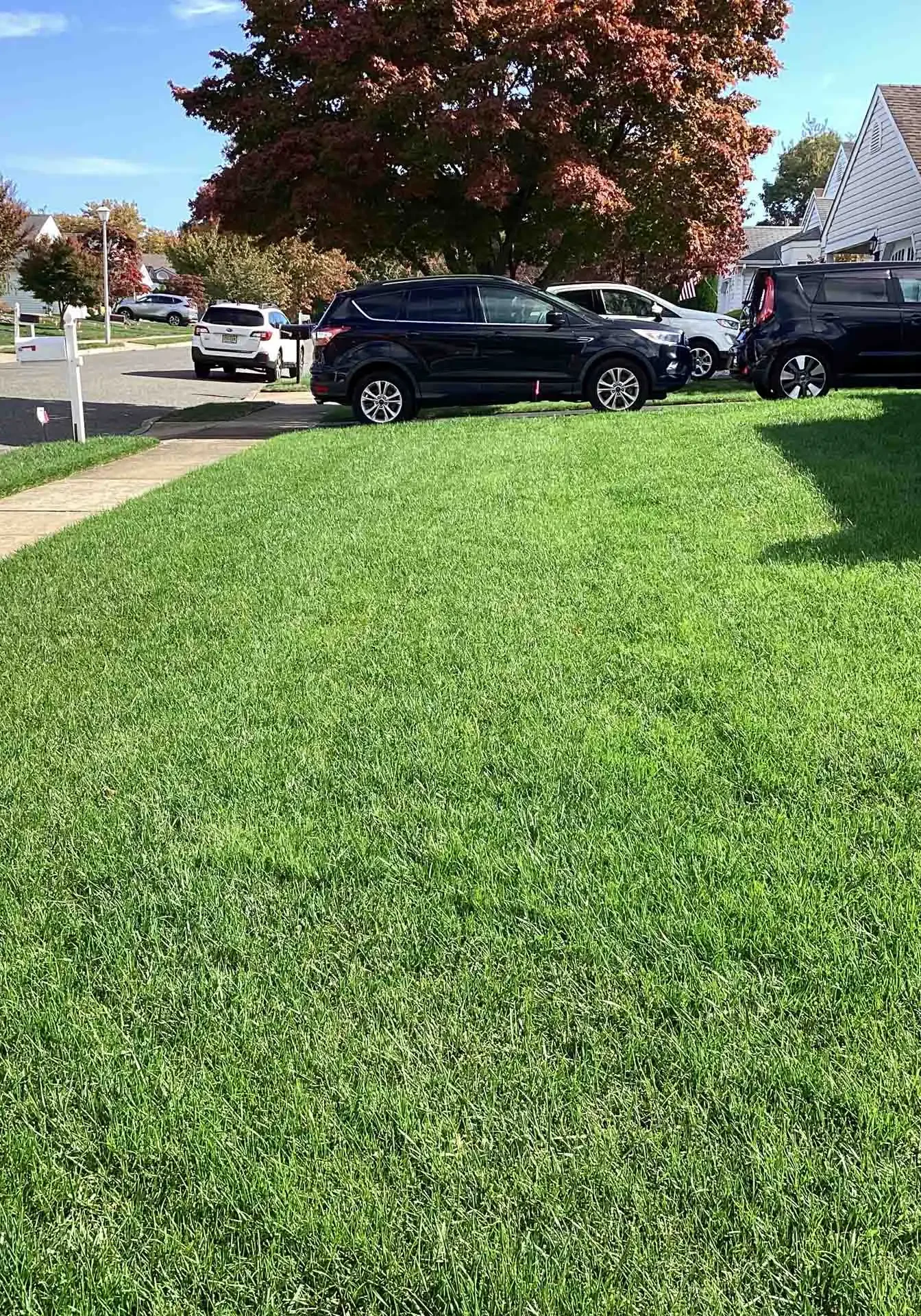 Barnegat, NJ Lawn Care Services