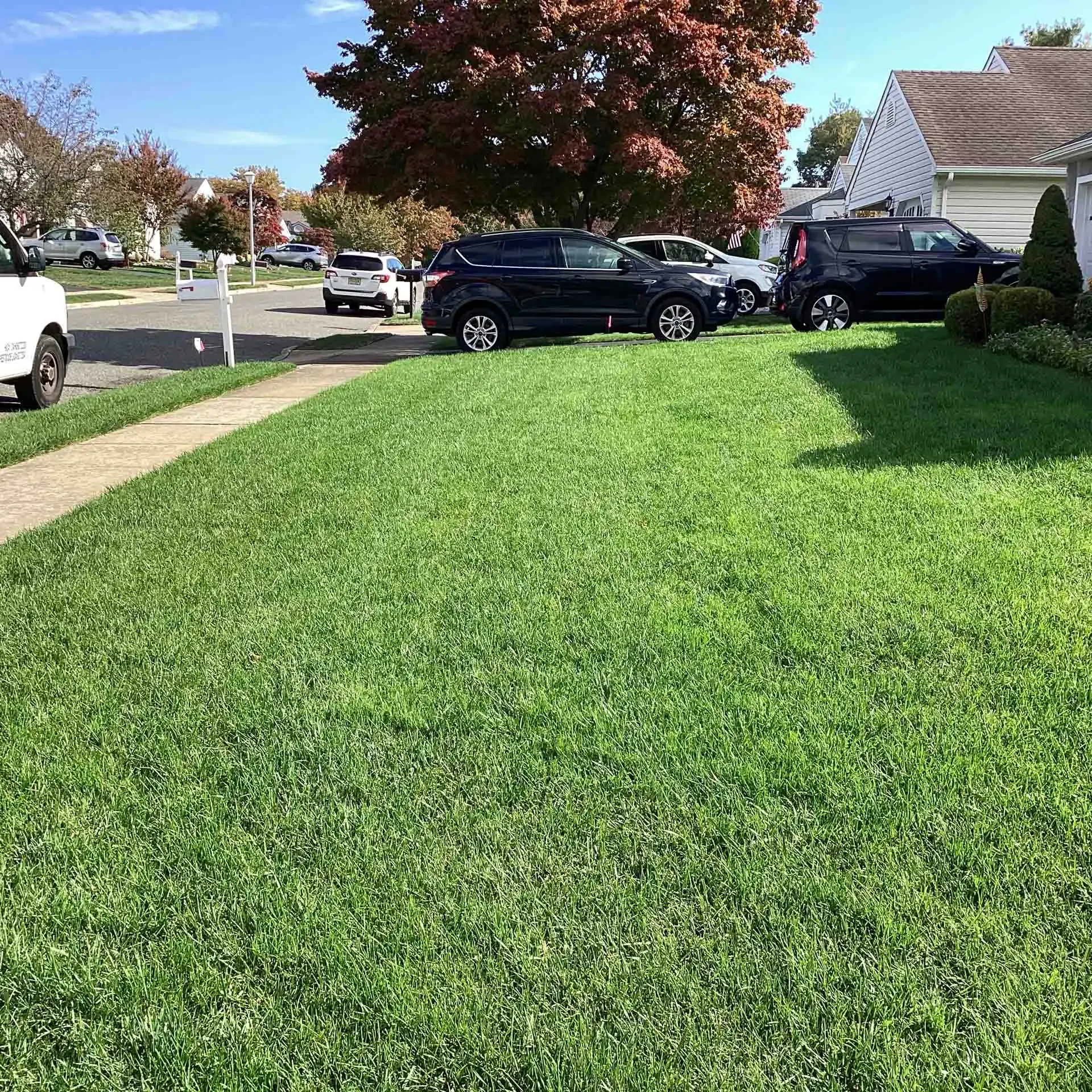 Barnegat, NJ Lawn Care Services