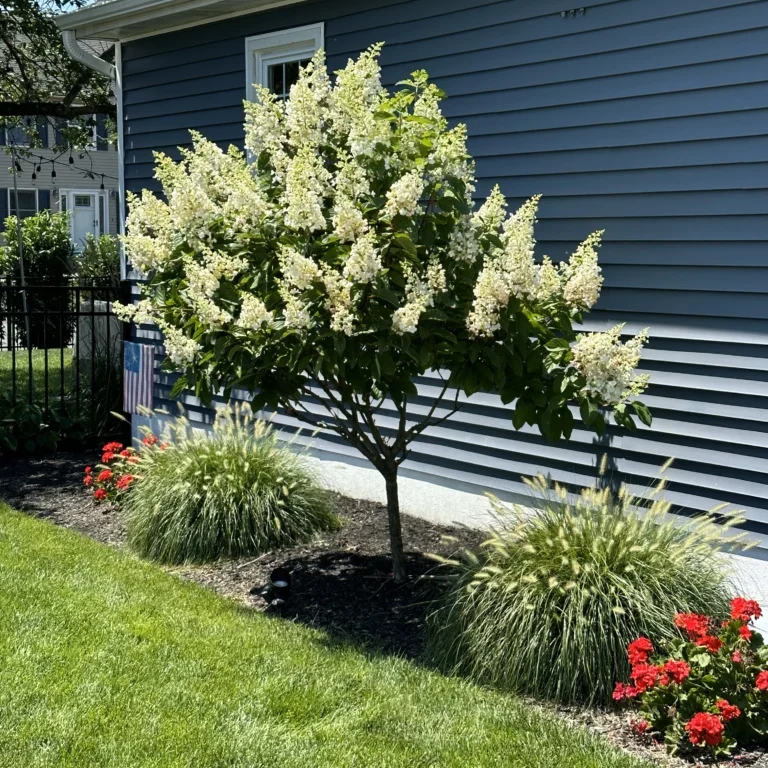 Ocean Township, NJ Garden Bed Maintenance Service