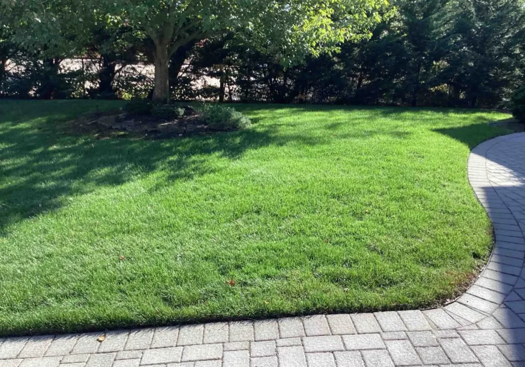 Lawn Care Little Silver, NJ