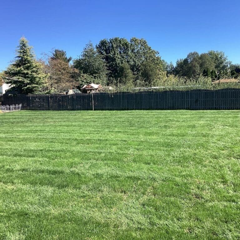 Lawn Care Services Fair Haven