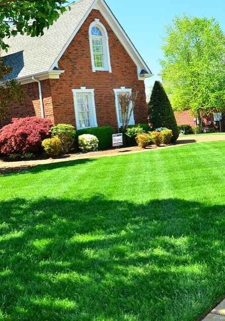 Lawn Care Services Little Silver, NJ