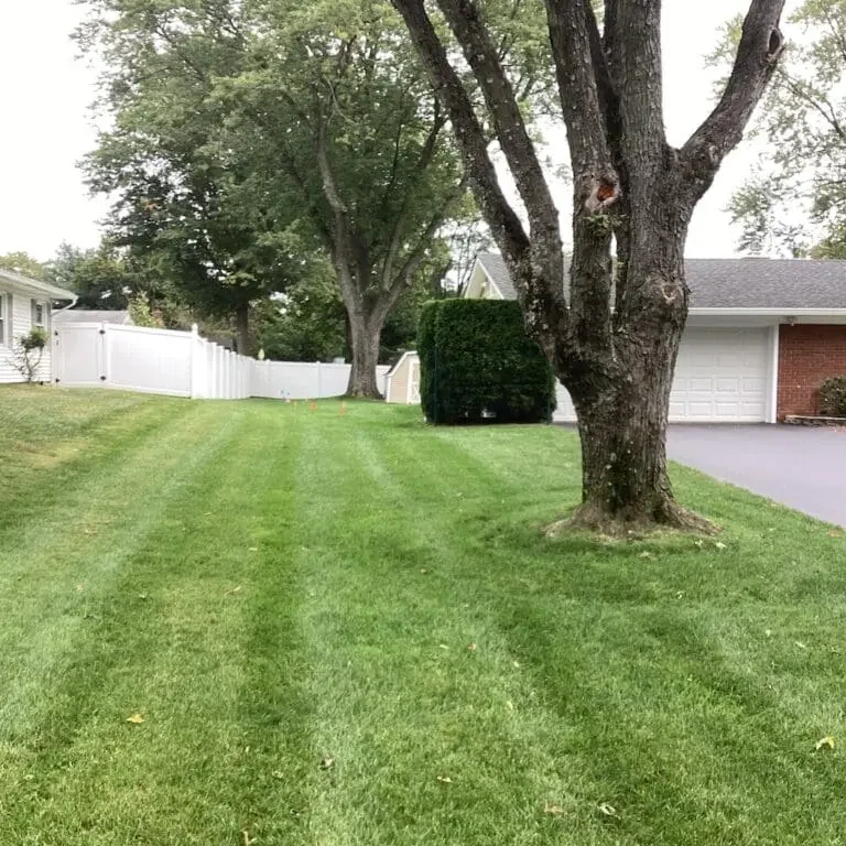 Lawn Care Services In Neptune Township, NJ