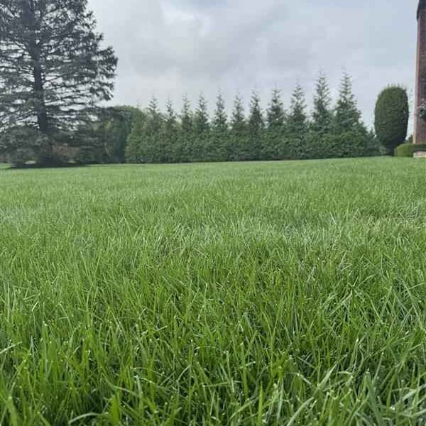 Lawn Care In Neptune Township, NJ