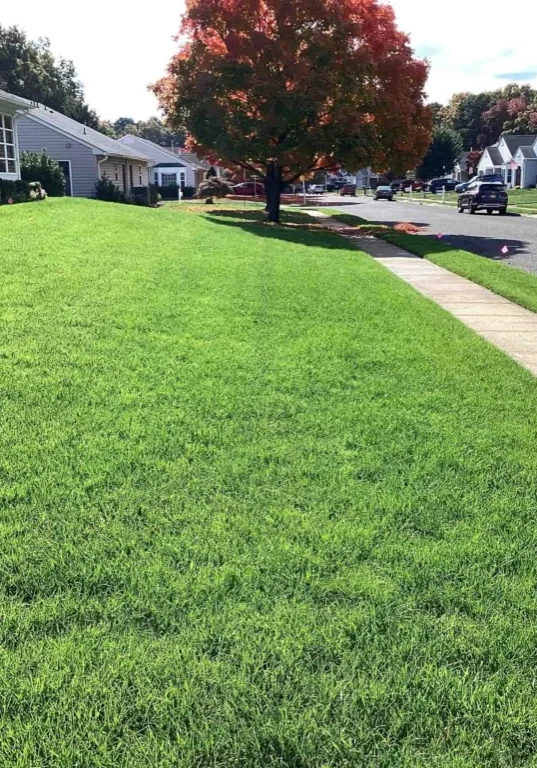 Robbinsville, NJ Lawn Care Services