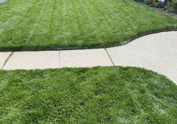 Lawn Care Services Freehold, NJ