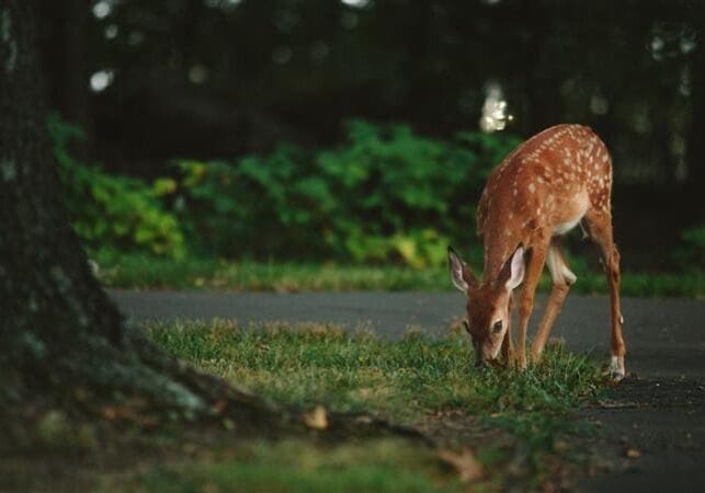 Be8a9090 4c56 43d6 Ae56 Fadaec171fe3